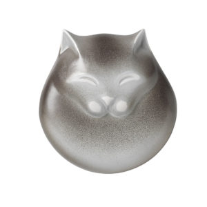 gatto-grigio